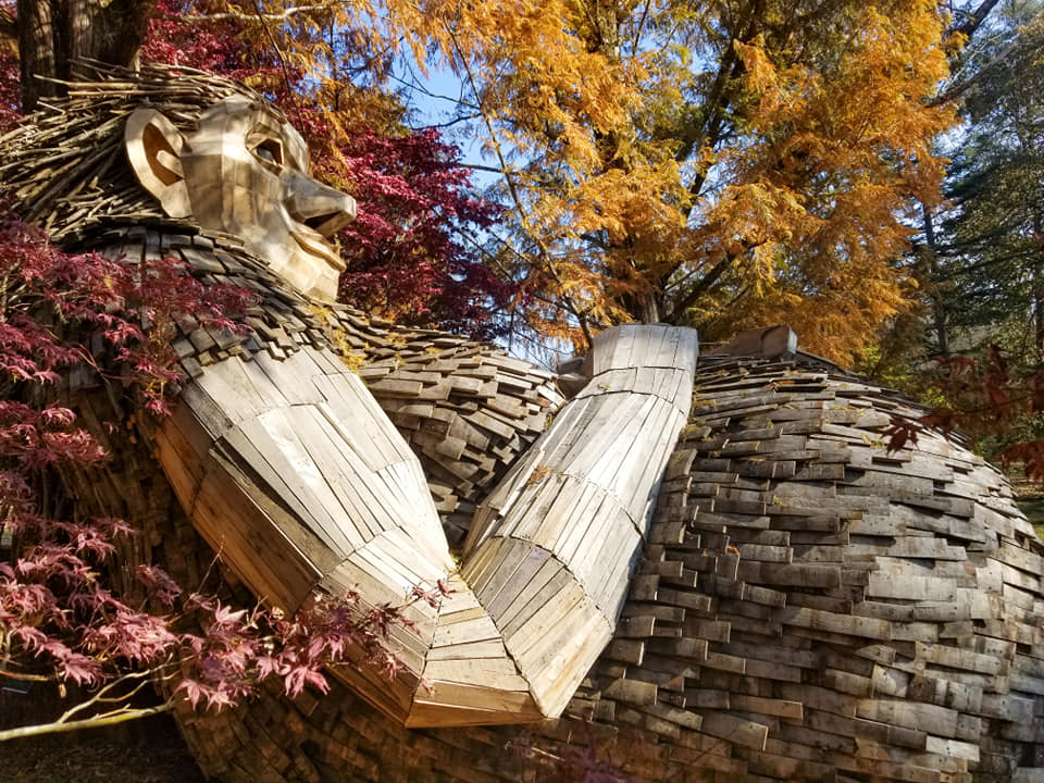 #1 of best hidden gems in Kentucky- Bernheim is home of the forest giants. 