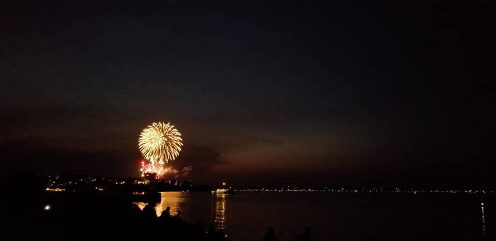 Fireworks 2019 Bug Light Park