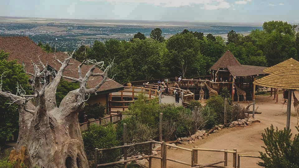 The view from Cheyenne Mountain Zoo