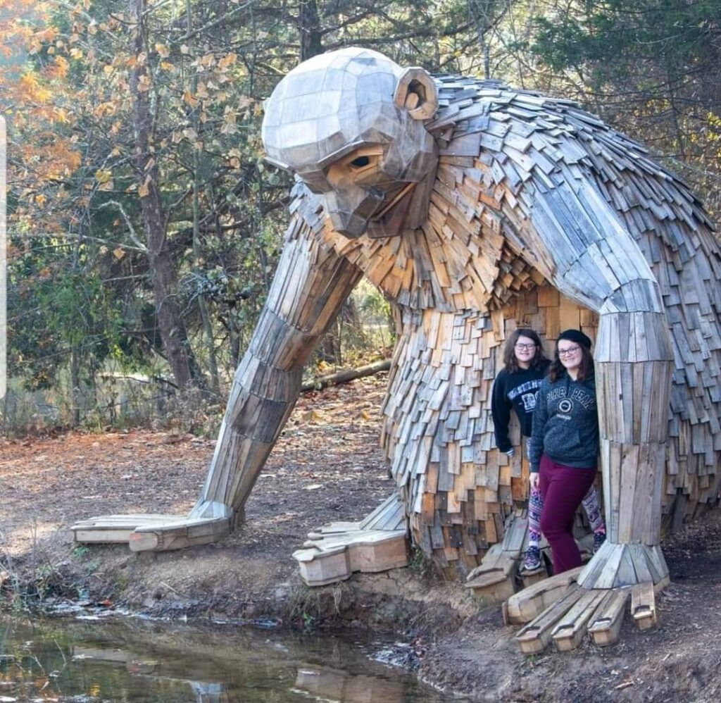 Fall Foliage in Kentucky with the giants- Bernheim Arboretum and Research Forest