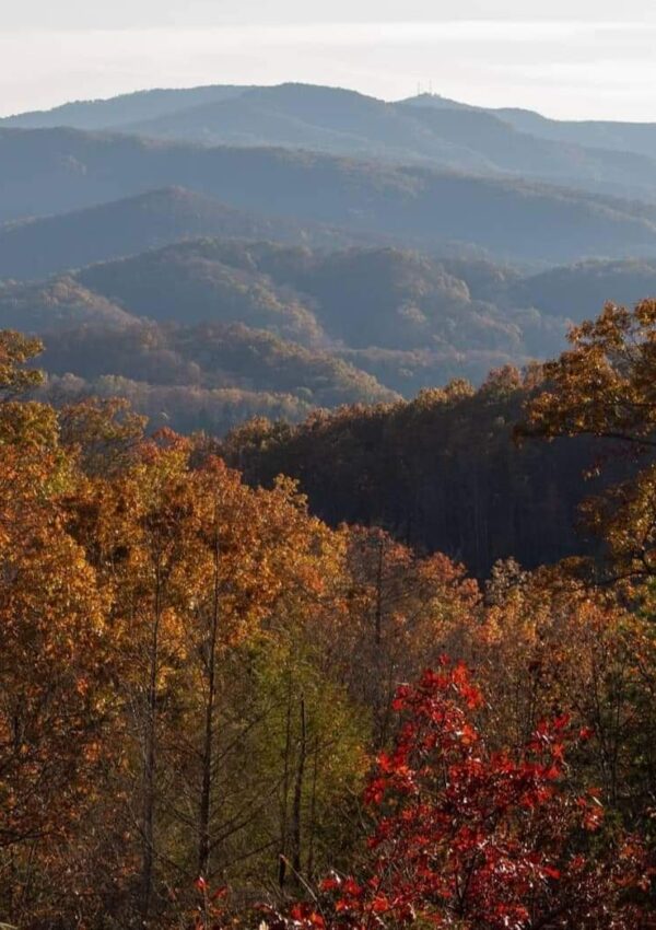 Fall Foliage in Kentucky