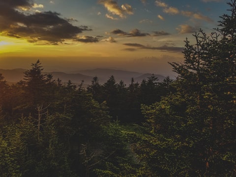 Clingmans Dome